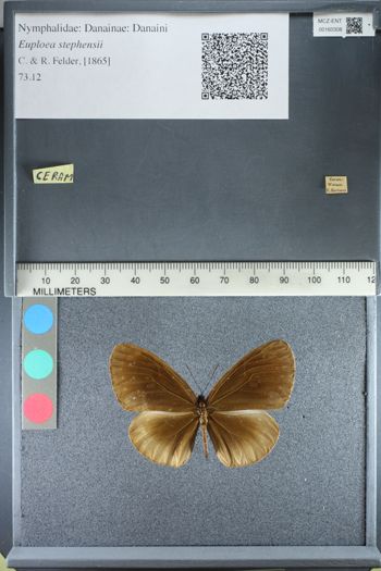 Media type: image;   Entomology 160308